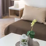 Elena